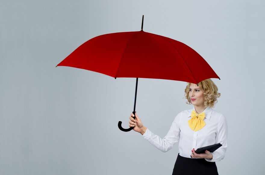 business and pleasure umbrella